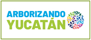 Arborizando Yucatán