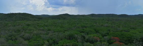 Reserva Biocultural del Puuc