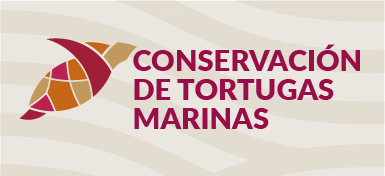 Tortugas marinas