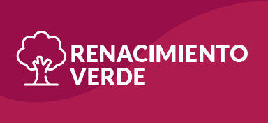 Arborizando Yucat�n